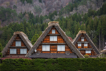 Traditional Gassho-style farmhouses in Shirakawa-go, Japan. These unique houses, with their steep, thatched roofs, are a UNESCO World Heritage site, showcasing stunning architecture against a backdrop