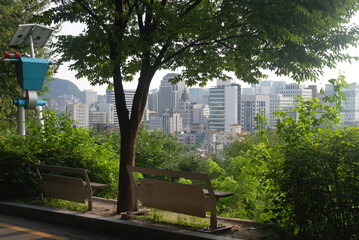 Park Benches Under Tree Overlooking City Skyline with Modern Buildings and Lush Greenery in Foreground
