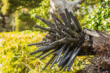 Close-up of a charred palm tree trunk, showcasing intricate details of the burnt wood against a blurred background of lush greenery. The image evokes feelings of resilience and the beauty found in