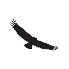 Obraz premium Turkey vulture silhouette vector flat illustration design.