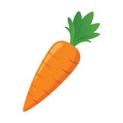 carrot vector illustration