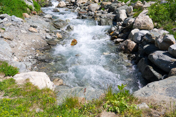 Beautiful view with scenic landscape in the Swiss Alps with stream and meadow at Lötschental Valley at Lauchernalp on a sunny late spring day. Photo taken June 19th, 2025, Wiler, Switzerland.