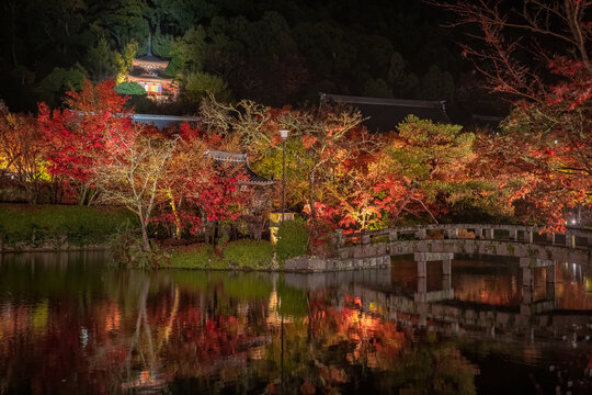 View of vibrant autumn foliage reflecting in the tranquil pond, illuminated by soft lights near a stone bridge and distant temple, Kyoto, Kyoto, Japan. - Powered by Adobe