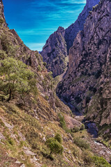 Ruta del Cares, Cares Trail Trekking Path, Picos de Europa National Park, Biosphere Reserve, Cantabrian Mountains, Castile and León-Asturias, Spain, Europe
