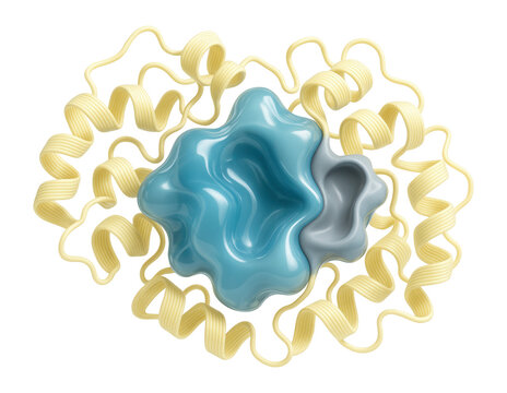 Isolated lipase enzyme with a classic alpha/beta hydrolase fold and binding pocket