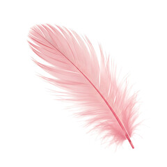 Soft Pink Feather Isolated