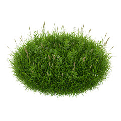 Green Grass Bush Isolated Clipart