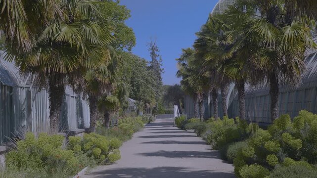 Jardin des plantes Boulogne Billancourt