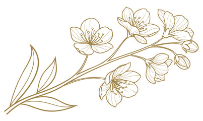 "Cherry Blossom Line Art Floral Branch Illustration"