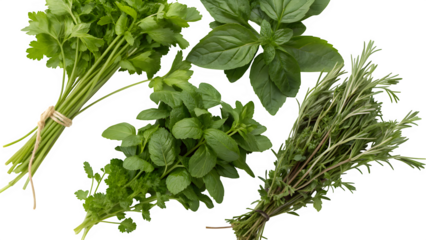 Freshly picked herbs including parsley, basil, oregano, and rosemary tied in bundles offer aromatic flavors for culinary delights.