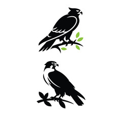 Two stylized bird illustrations perched on leafy branches, showcasing angular and rounded avian designs in minimalist black-and-white contrast