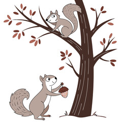 squirrel on tree