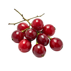 Cluster of red berries with stems isolated on transparent background