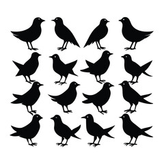 A collection of fifteen diverse black bird silhouettes for graphic design projects