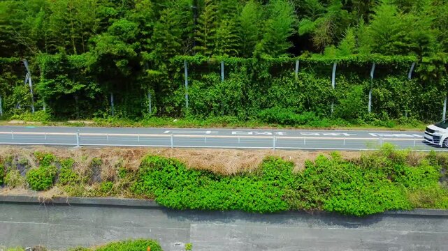海岸線沿いの国道を空撮

