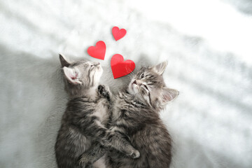 Two adorable tabby kittens cuddle together on a soft white blanket with three red hearts above them, symbolizing love and affection