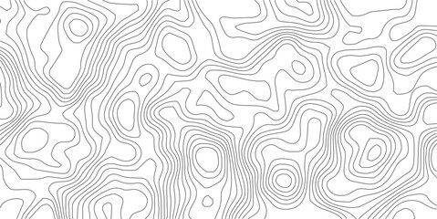 Topographic Map: A detailed, abstract representation of elevation contours, offering a captivating study in lines and patterns, perfect for design and informational use.