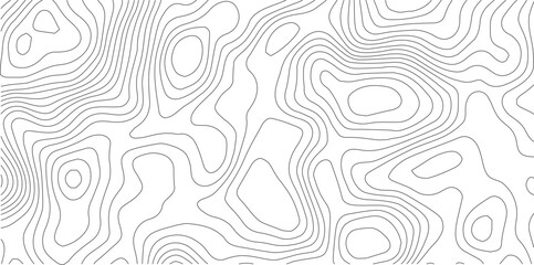 Contour Lines: A detailed illustration of a topographic map showcasing the intricate curves and elevations.