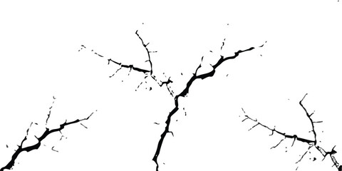 Fractal branch structure: A monochrome artwork showcases the intricate, fractal patterns of tree branches, conveying the beauty and complexity found in natural designs. 