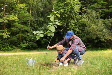 Father and his son planting tree into soil outdoors