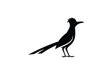 roadrunner bird logo vector icon illustration	