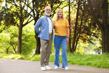 Lovely senior couple walking together in park