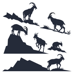 wild animals collection