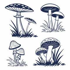 set of mushrooms © farjana