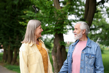Fototapeta premium Lovely senior couple walking together in park