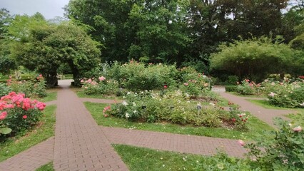 Obraz premium path in the park