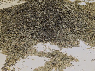 Freshly produced tea at the Chá Gorreana tea plantation, packed in a sack for export. Tea...