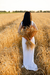 girl in white dress on wheat field. girl holds bouquet of wheat ears behind her back, field before...