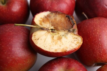 Spoiled apple and good ones on white background, closeup