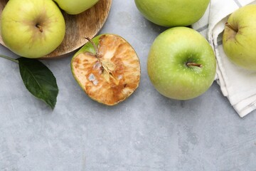 Spoiled apple and good ones on grey table, flat lay. Space for text
