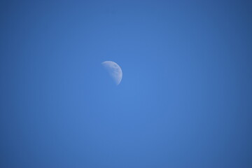 moon in the sky