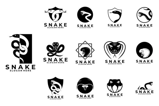 Snake or Viper logo design vector template. Snake logo design icon collections