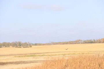 Abandoned Places and Prairie Saskatchewan Scenery.