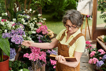 Exploring vibrant blooms and cherished memories in a peaceful garden oasis