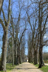 Obraz premium 世界周遊 ParisCityWalk