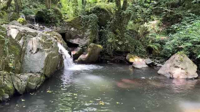 Fiume con piccola cascata in mezzo ad un bosco