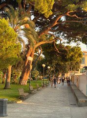 Bench in park with pine trees on sea coast of Italy, Liguria. Tourism and recreation. Nature and health