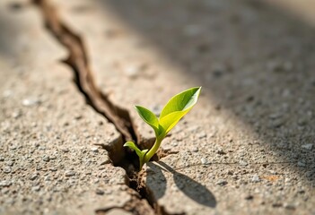 Vibrant green sprout pushing through weathered patio stone crack,  growth,   perseverance