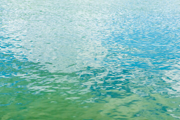 夏の川　空と緑を映す川07