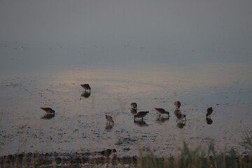 Abandoned Places and Prairie Saskatchewan Scenery.