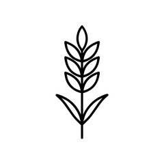 Fototapeta premium Wheat stalk, symbolizing grain production – outline