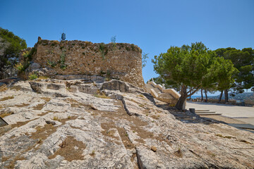 A resilient tree growing among the ancient stone ruins of Denia Castle, blending nature with...