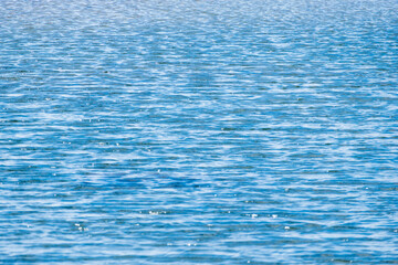 夏の川　風で水面に波が立つ04