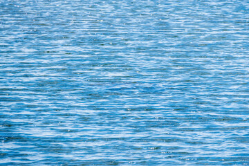 夏の川　風で水面に波が立つ05