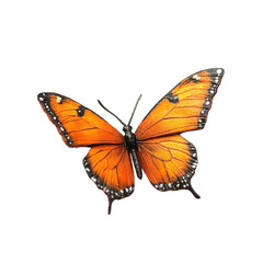 Fototapeta premium Vibrant orange butterfly with black-edged wings, intricate details, and delicate antennae, isolated against a black background