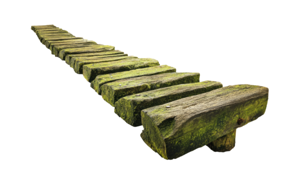 Ancient Mossy Wooden Pathway to Mystery isolated on transparent background